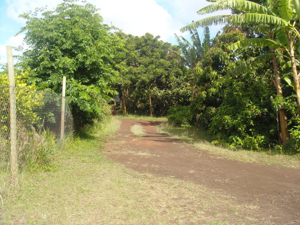 Cabanas Varua Hanga Roa Ruang foto